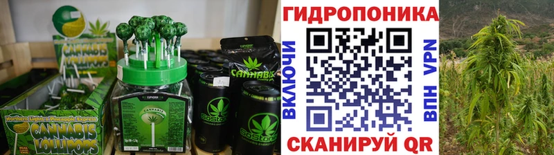Cannafood конопля Суджа