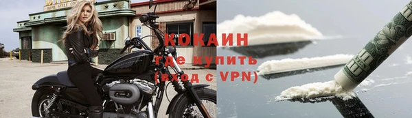 дживик Аркадак
