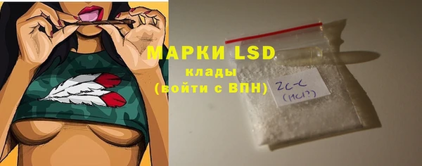 дживик Аркадак